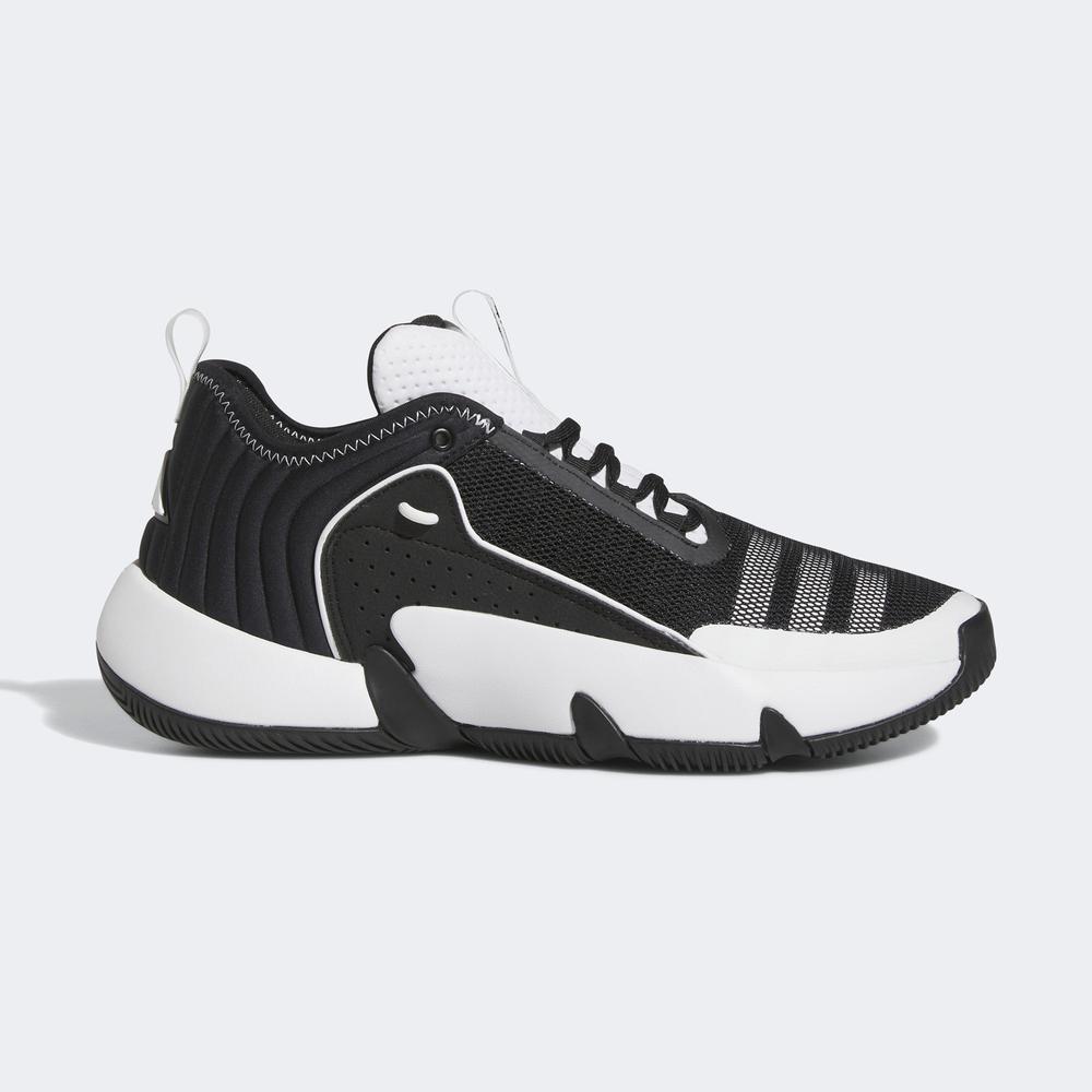 adidas Trae Unlimited Erkek Siyah Basketbol Ayakkabısı