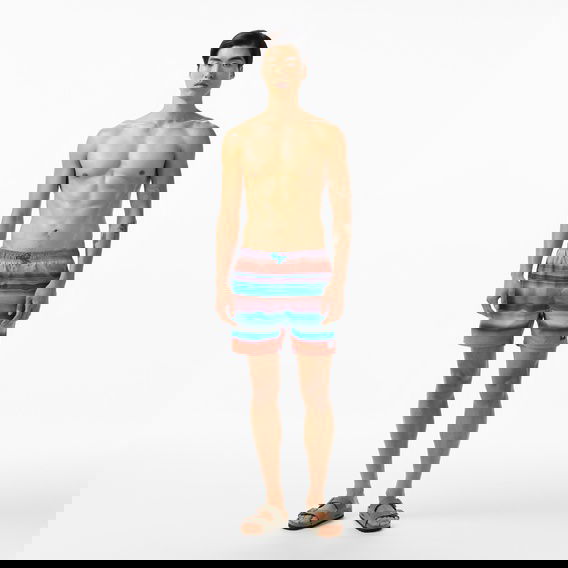 Speedo Plmt Leisure 16 Wsht Am Erkek Mavi Deniz Şortu